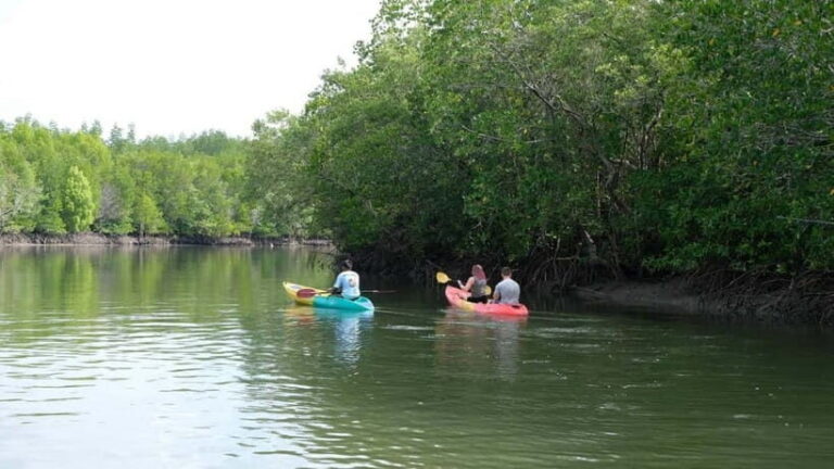 Koh Lanta: Paddle Serenity & Thung Yee Pheng's Mangrove Maze - Who Should Consider This Tour?