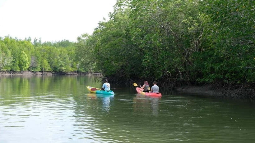 Koh Lanta: Paddle Serenity & Thung Yee Pheng's Mangrove Maze - Who Should Consider This Tour?