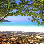 Koh Lipe: 5 Island Snorkeling Trip by Longtail Boat w/ Lunch - Authentic Insights from Travelers
