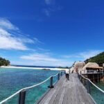Koh Nang Yuan and Koh Tao 5 Point Snorkeling Tour - Frequently Asked Questions