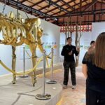 Koh Samui Elephant Home Sanctuary and the first Elephant Museum - Who Should Consider This Tour?