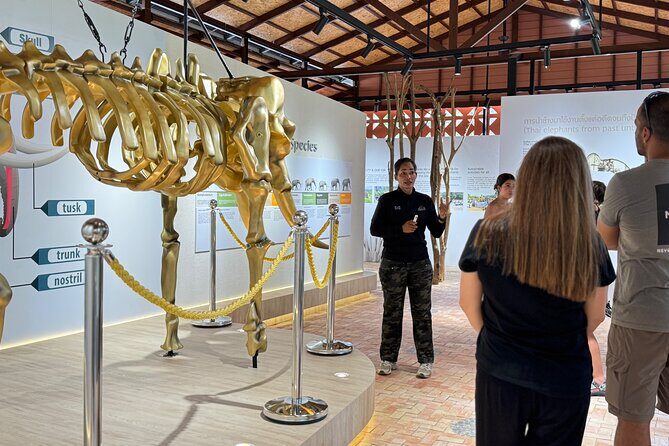 Koh Samui Elephant Home Sanctuary and the first Elephant Museum - Who Should Consider This Tour?