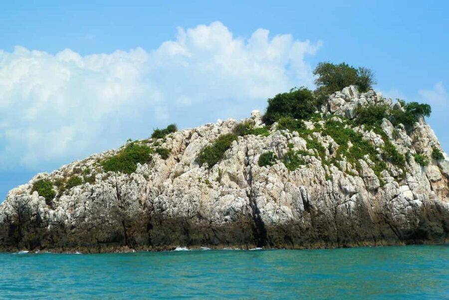 Koh Samui: Fishing Day Tour by Escort Boat with Mr. Tu - Who Should Consider This Tour?