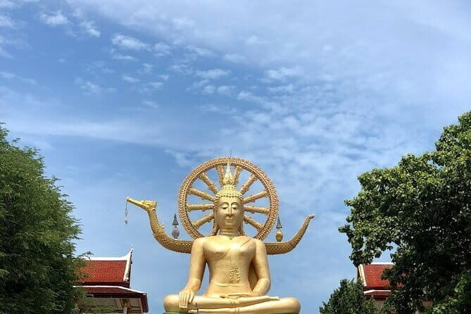 Koh Samui Jungle Discovery Tour with Hotel Transfers - Who Will Love This Tour?