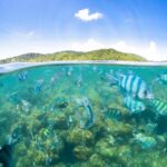 Koh Samui: Pig Island & Koh Tan Snorkeling by Speed boat - Why This Tour Works Well