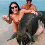 kohsamui.tours - Pig Island Snorkeling Eco Tour by Speed Boat - What You’ll Love About This Tour