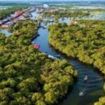 Kompong Phluk Village Tonle Sap Lake Half-Day Tour From Siem Reap - In-Depth Review of the Kompong Phluk Tour