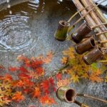 Korankei Gorge Number 1 Autumn Colors View Spot - Exploring Korankei Gorge: A Natural Wonderland in Peak Fall
