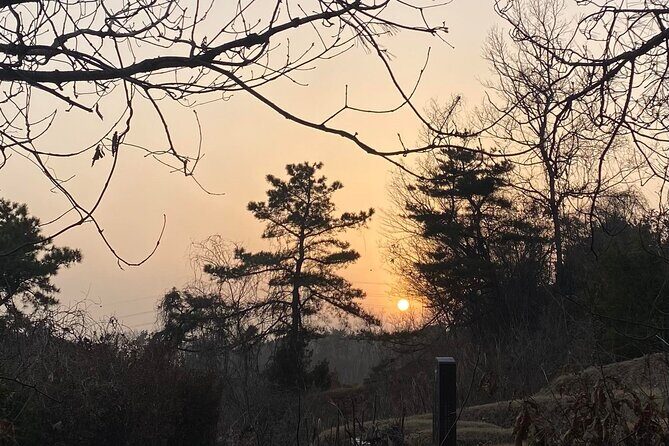 Korean Cemetery and Folklore Trek - Who Will Love This Experience?