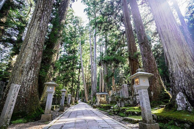 Koyasan Day Trip by Private Car from Kyoto - Transportation, Timing, and Comfort