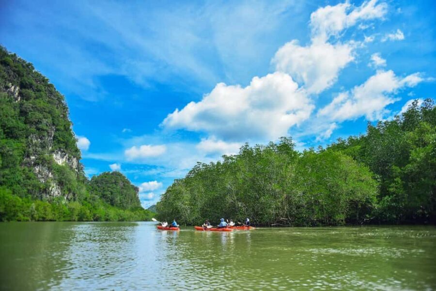 Krabi: Ao Thalane Mangrove Kayaking with Extras - Who Is This Tour Perfect For?