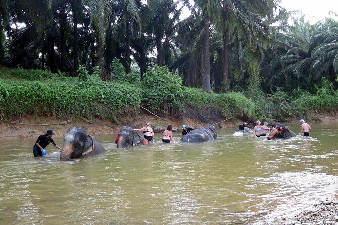 Krabi Elephant Sanctuary and Emerald Pool Adventure - Itinerary Breakdown and What to Expect