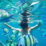 Krabi to Phi Phi Islands by Speedboat - Who Will Enjoy This Tour?