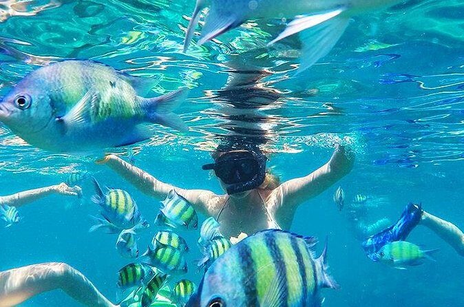 Krabi to Phi Phi Islands by Speedboat - Who Will Enjoy This Tour?