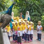 Kuala Lumpur Bird Park & Butterfly Farm Tour - Who is This Tour Best For?