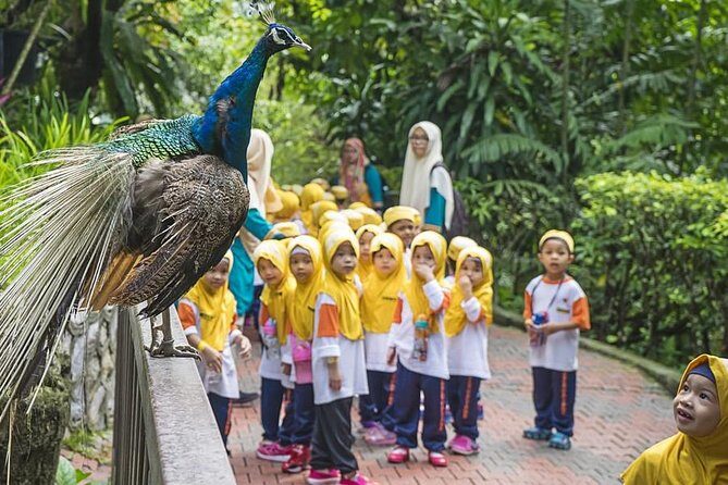Kuala Lumpur Bird Park & Butterfly Farm Tour - Who is This Tour Best For?