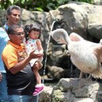 Kuala Lumpur Bird Park With Return Transfers - In-Depth: What to Expect on the Tour