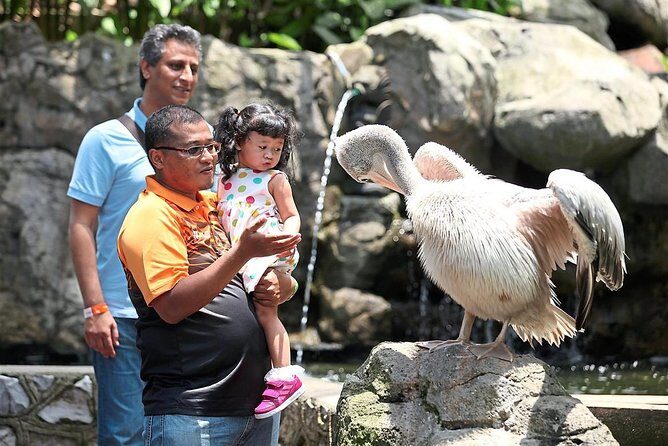 Kuala Lumpur Bird Park With Return Transfers - In-Depth: What to Expect on the Tour