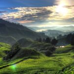 Kuala Lumpur: Cameron Highlands & Batu Caves Private Day Tour - Lata Iskandar Waterfall and Local Flavors