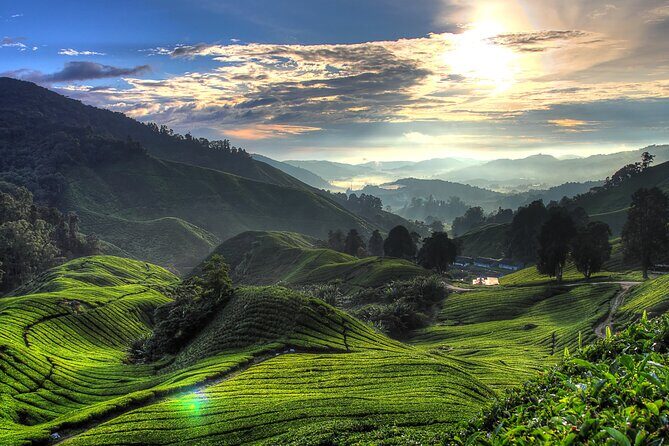 Kuala Lumpur: Cameron Highlands & Batu Caves Private Day Tour - Lata Iskandar Waterfall and Local Flavors