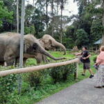 Kuala Lumpur: Kuala Gandah and Batu Caves Private Trip - Who Should Consider This Tour?
