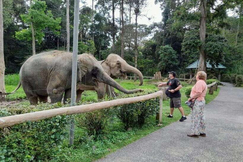 Kuala Lumpur: Kuala Gandah and Batu Caves Private Trip - Who Should Consider This Tour?