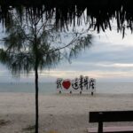 Kuala Selangor Sky Mirror & Sekinchan (SIC - Join In Tour) - Sekinchan: A Village of Green Rice Fields