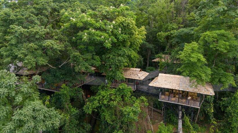 Kuang Si Waterfall, Tree Top Cafe, Ziplining - Why This Tour Works Well