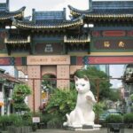 Kuching City Sightseeing Tour - Final Thoughts