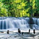 Kulen Elephant Forest & Tonlesap Lake - Starting at Phnom Kulen National Park