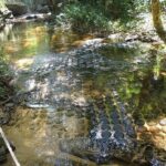 Kulen Mountain Waterfall-1000 Lingas -Siem Reap Tour - Final Thoughts: Who Will Appreciate This Tour?