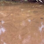 Kulen Mountain Waterfalls the National Park - Who Will Love This Tour?