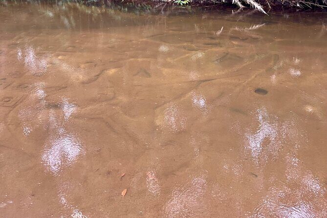 Kulen Mountain Waterfalls the National Park - Who Will Love This Tour?