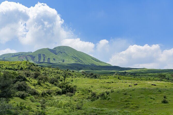 Kumamoto Castle Suizenji Garden and Aso Full-Day Tour Option - FAQ