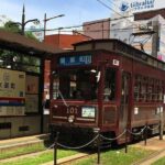 Kumamoto Half-Day Private Tour with Government-Licensed Guide - Who Should Book This Tour?