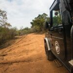 Kumana National Park Half Day Jeep Safari - In-Depth Review of the Kumana National Park Safari