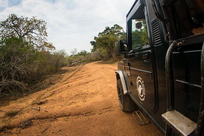 Kumana National Park Half Day Jeep Safari - In-Depth Review of the Kumana National Park Safari
