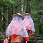 Kumano Kodo Pilgrimage Tour with Licensed Guide & Vehicle - Exploring the Kumano Kodo: What You Can Expect
