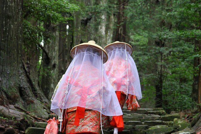Kumano Kodo Pilgrimage Tour with Licensed Guide & Vehicle - Exploring the Kumano Kodo: What You Can Expect