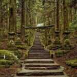 Kumanozu Shrine Takachiho Gorge and Amano Iwato Tour from Fukuoka - Final Thoughts