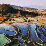 Kunming: 2-Day Honghe Hani Yuanyang Rice Terraces - Concluding Thoughts