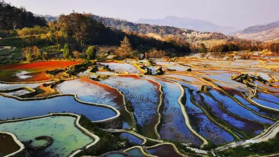 Kunming: 2-Day Honghe Hani Yuanyang Rice Terraces - Concluding Thoughts