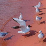 Kunming: Fuxian Lake Private Tour - A Detailed Look at the Fuxian Lake Private Tour