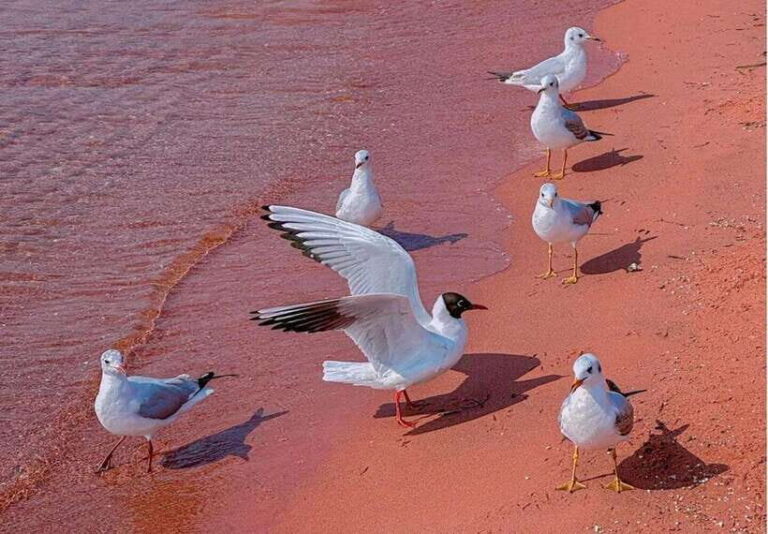 Kunming: Fuxian Lake Private Tour - A Detailed Look at the Fuxian Lake Private Tour