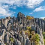 Kunming: Private Half Day Tour of Stone Forest Park w/Option - How Do You Make the Most of This Tour?