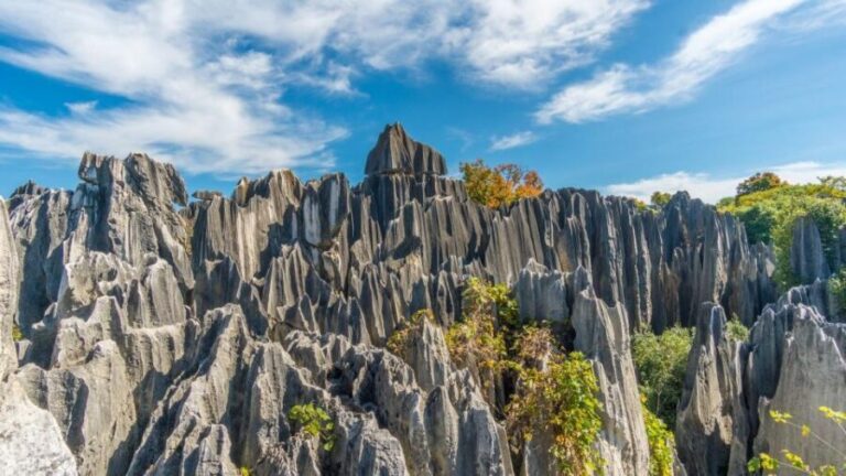 Kunming: Private Half Day Tour of Stone Forest Park w/Option - How Do You Make the Most of This Tour?