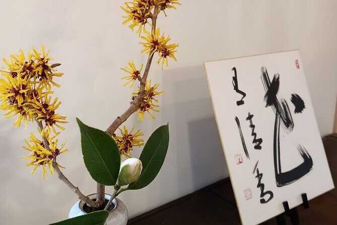 Kurashikis Kura A Once in a Lifetime Tea Hospitality - Authenticity and Cultural Significance