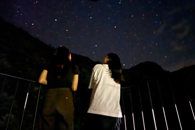 Kurobe Gorge Twilight Train Premium Night Journey - The Atmosphere and Experience