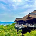 Kyoto 1 Day Golden Route Bus Tour - Who Should Book This Tour?