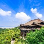 Kyoto 6hr Instagram Highlights Private Tour with Licensed Guide - Who Is This Tour Best For?